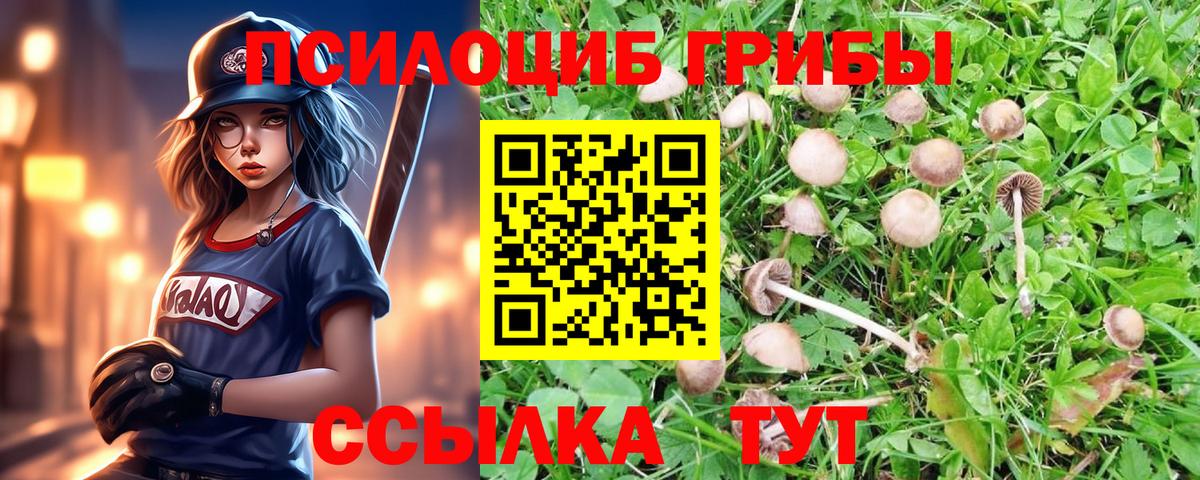 Псилоцибиновые грибы мухоморы  Вход с VPN  Гай 