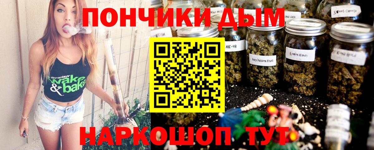 Конопля план  Конопля гибрид  Вход с VPN  Каннабис VHQ  Гай 